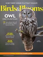 Birds & Blooms